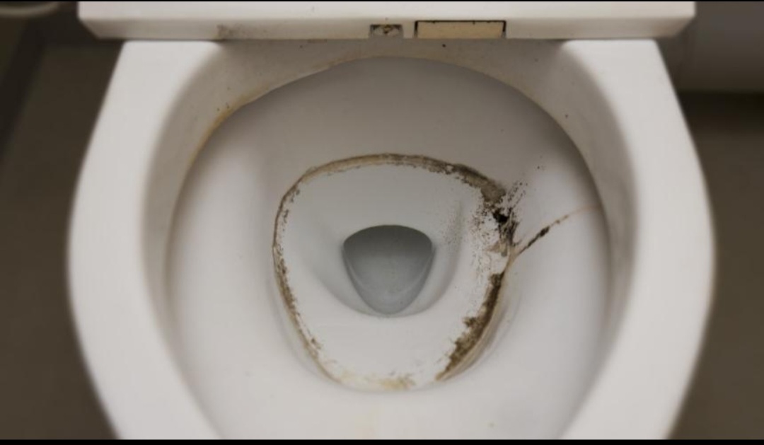 Dirty toilet before cleaning